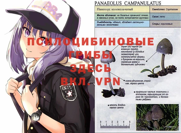 герыч Беломорск